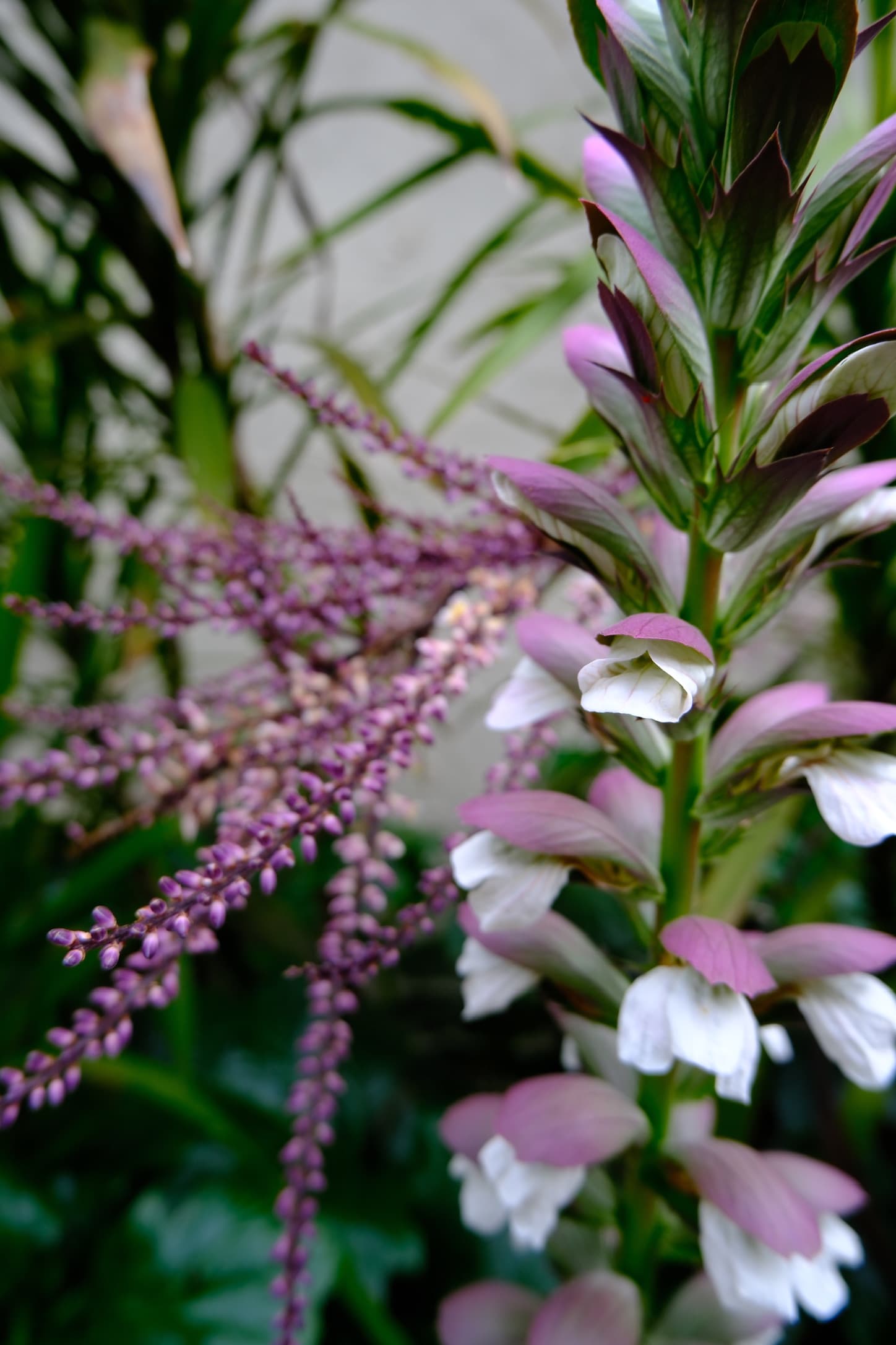 Collection One - Image 4