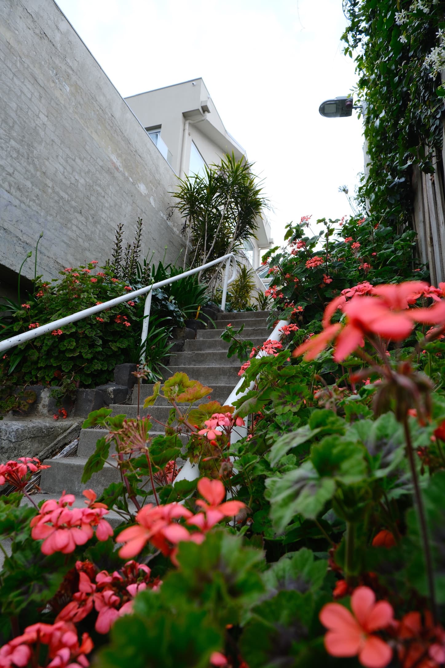 Collection Two - Image 2